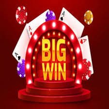 betplay betplay